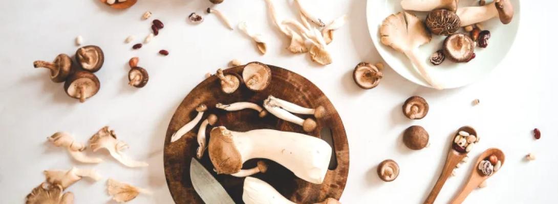Вчені підтвердили: споживання грибів може знизити ризик розвитку раку у чоловіків