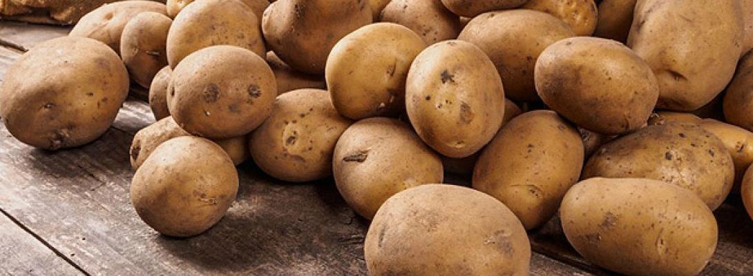 Не така безпечна, як здається: медики пояснили, чому картопля може бути шкідливою