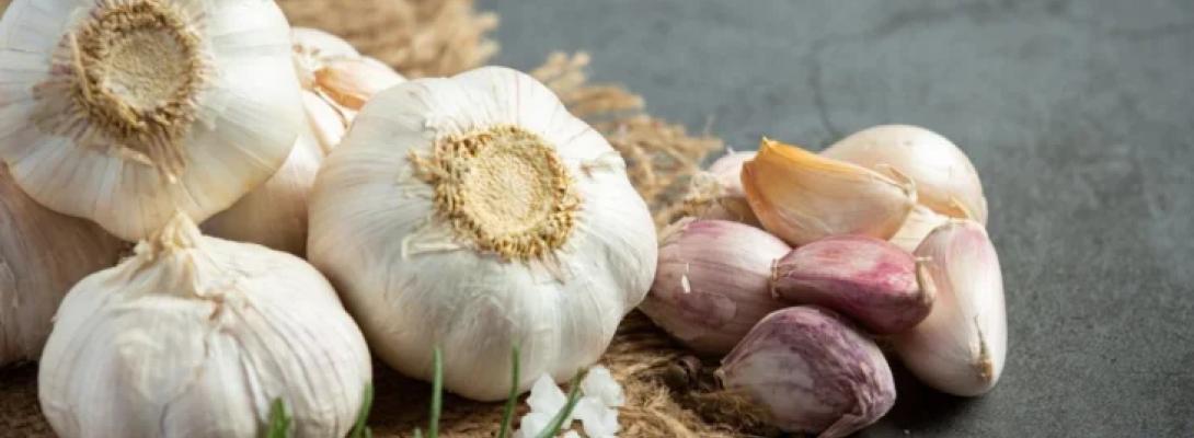 Як правильно вживати часник: експертні рекомендації та помилки, яких слід уникати