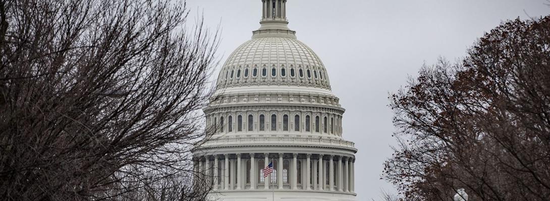 В Сенаті США хочуть заборонити армії окуповувати території союзників по НАТО, - FT