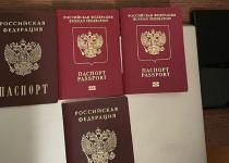 У Києві СБУ затримала директорку школи з російськими паспортами: подробиці