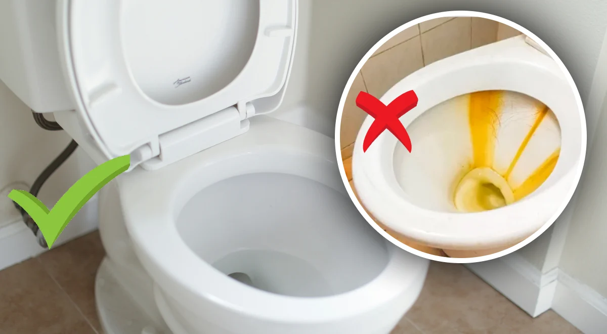 Як зробити унітаз ідеально чистим? Простий та бюджетний спосіб без йоржика та хімії