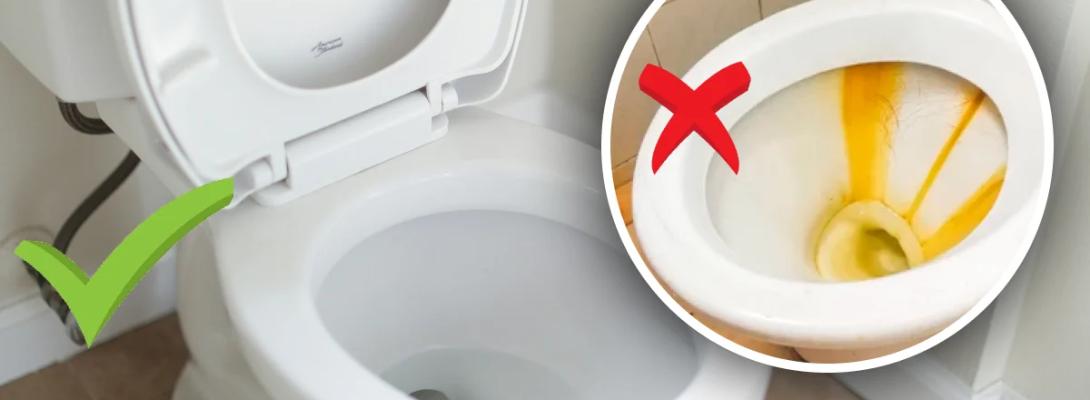 Як зробити унітаз ідеально чистим? Простий та бюджетний спосіб без йоржика та хімії