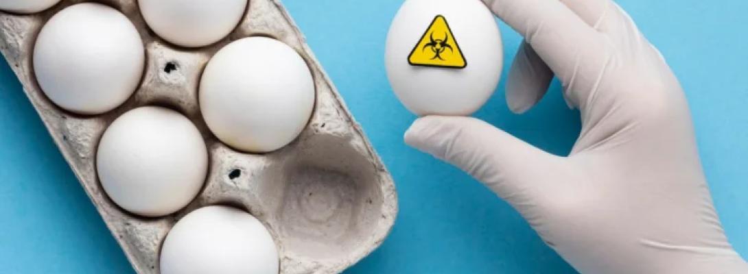 Небезпека яєць! Вчені розкрили страшну правду про їхній вплив на судини та серце