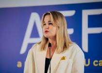 Посол України в НАТО Гетьманчук розповіла про ризики для PURL через Гренландію