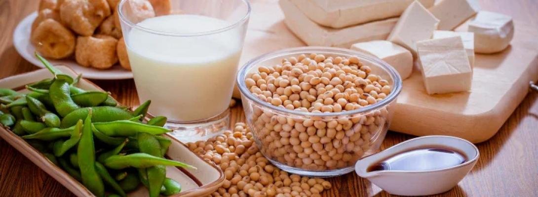 4 продукти, багаті на білок: що варто додати до свого раціону, щоб підтримати м’язи