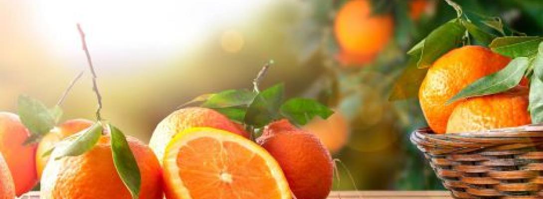 Забудьте про цукерки та хлібобулочні вироби: корисні альтернативи для щоденного перекусу