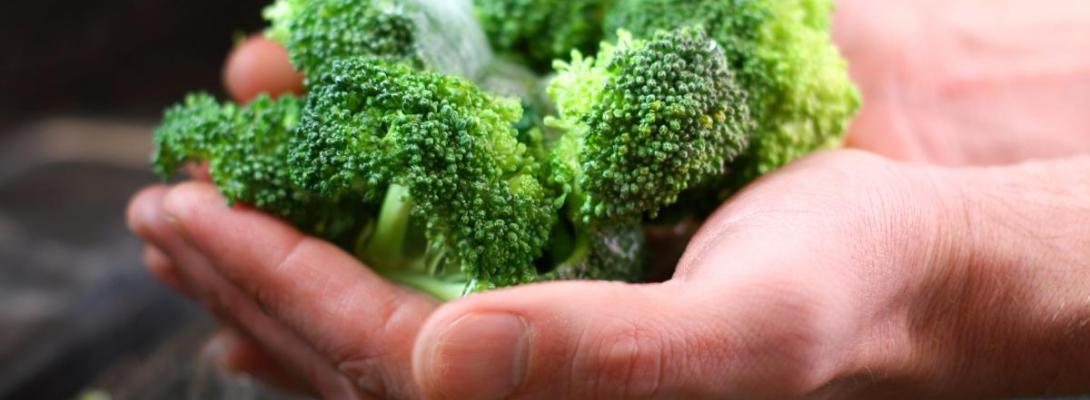 Як броколі впливає на організм: 7 змін, які ви відчуєте при щоденному вживанні