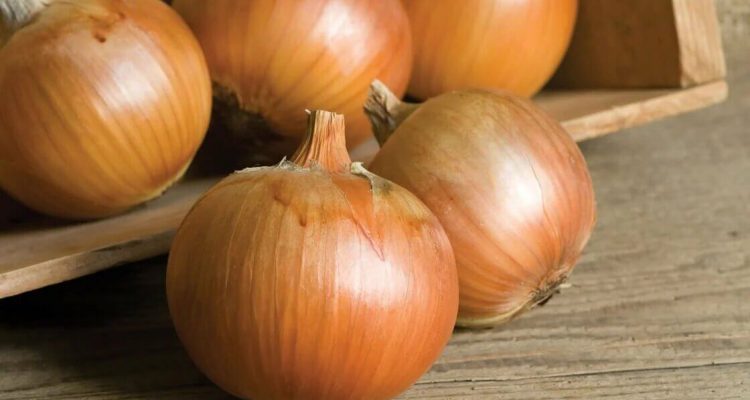 Неочікувана користь звичайної цибулі: чому цей овоч варто додати до щоденного раціону