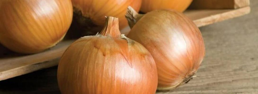 Неочікувана користь звичайної цибулі: чому цей овоч варто додати до щоденного раціону