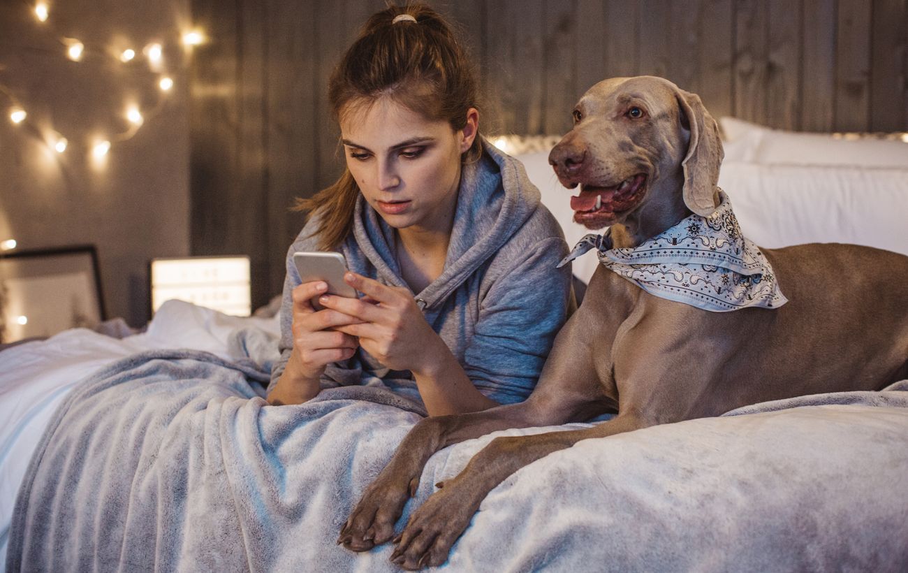 Компенсація грошей від "Ощадбанку" й "Укренерго"? Як працює нова пастка шахраїв