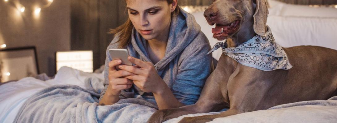 Компенсація грошей від "Ощадбанку" й "Укренерго"? Як працює нова пастка шахраїв