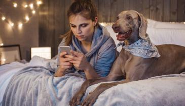 Компенсація грошей від "Ощадбанку" й "Укренерго"? Як працює нова пастка шахраїв