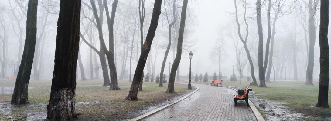Температурні гойдалки від -12 до +8 та туман: якою буде погода в Україні сьогодні