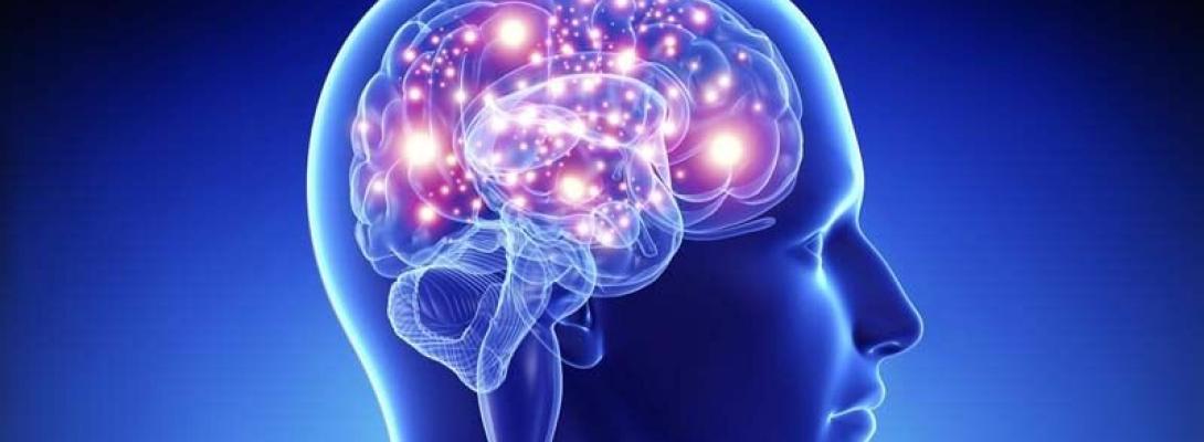 Чотири напої, які допомагають мозку працювати ефективніше та покращують концентрацію