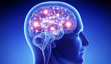 Чотири напої, які допомагають мозку працювати ефективніше та покращують концентрацію