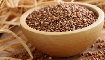 Чому гречка вважається суперфудом: медики пояснили її лікувальні властивості