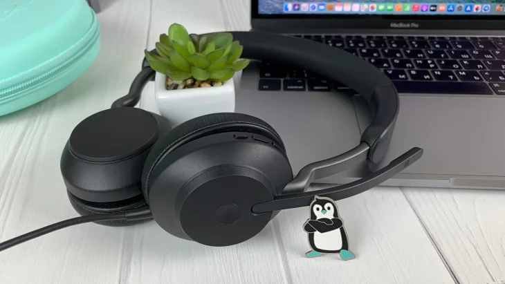 Кардіологи назвали несподіваний ефект щоденного прослуховування музики: що радять лікарі