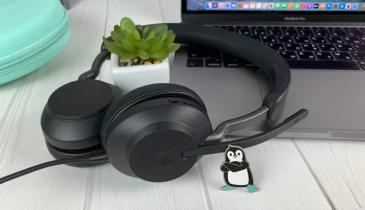 Кардіологи назвали несподіваний ефект щоденного прослуховування музики: що радять лікарі