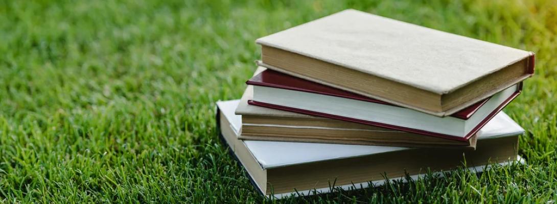 Що робить мозок, коли ми читаємо: дослідники пояснили, як активуються пам’ять та уява