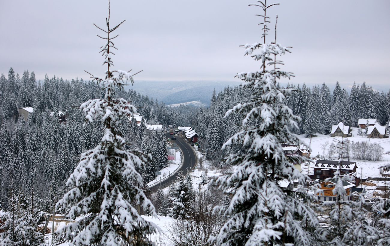 У Карпати повернулась зима: на горі Піп Іван випав сніг та вдарив мороз у -8 градусів