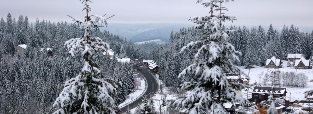 У Карпати повернулась зима: на горі Піп Іван випав сніг та вдарив мороз у -8 градусів