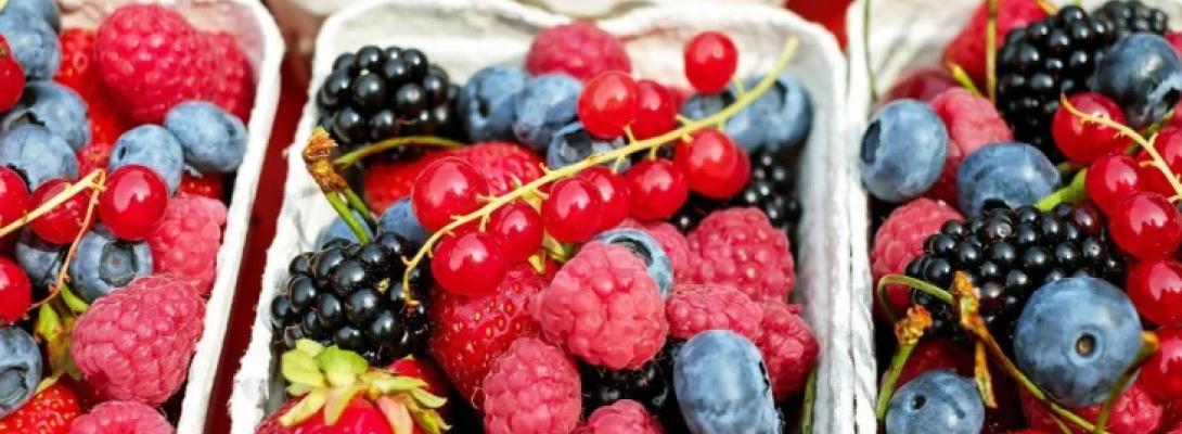 Як харчування впливає на мозок: перелік продуктів, які допоможуть покращити пам’ять