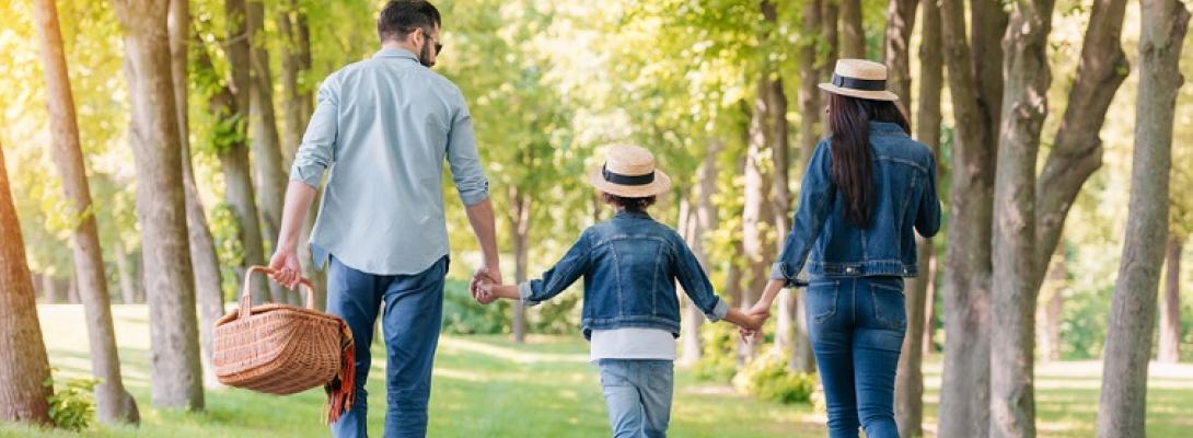 Природа лікує: як прогулянки в лісі допомагають знизити стрес і покращити настрій