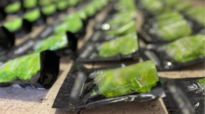 Такого ще не було: під виглядом популярного чаю матча діяла масштабна наркосхема