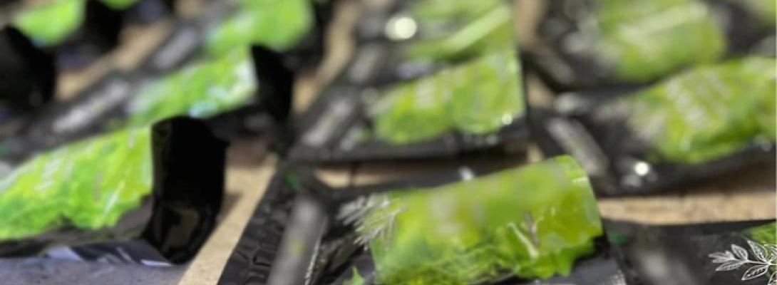 Такого ще не було: під виглядом популярного чаю матча діяла масштабна наркосхема