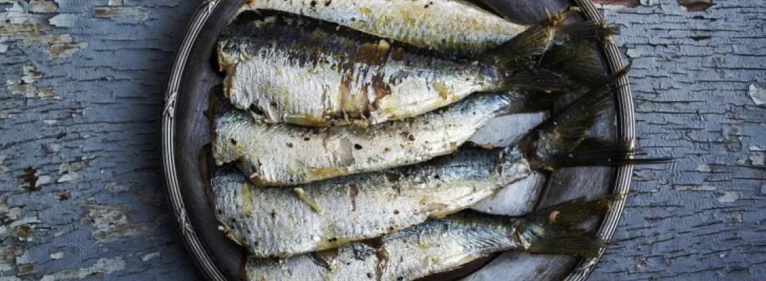 Ця недорога риба, яку часто ігнорують, виявилася найкориснішою: що варто знати