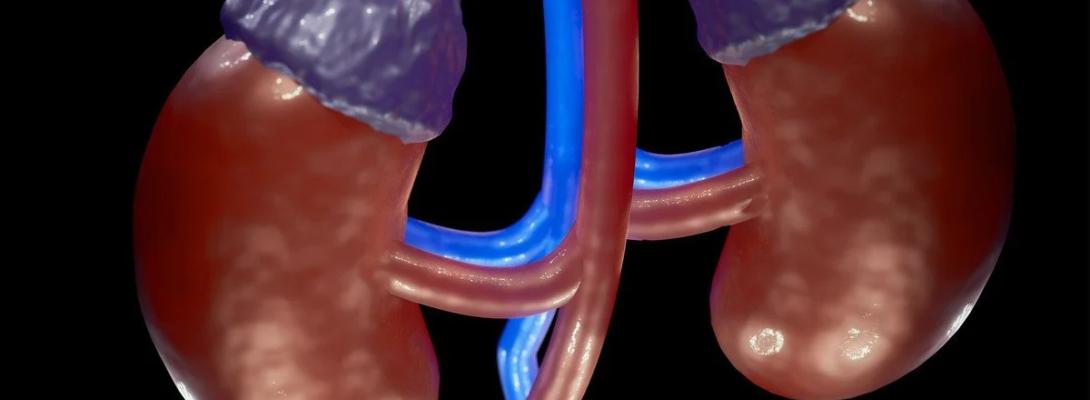 Небезпека, про яку мовчать: це популярне знеболювальне поступово "вбиває" ваші нирки