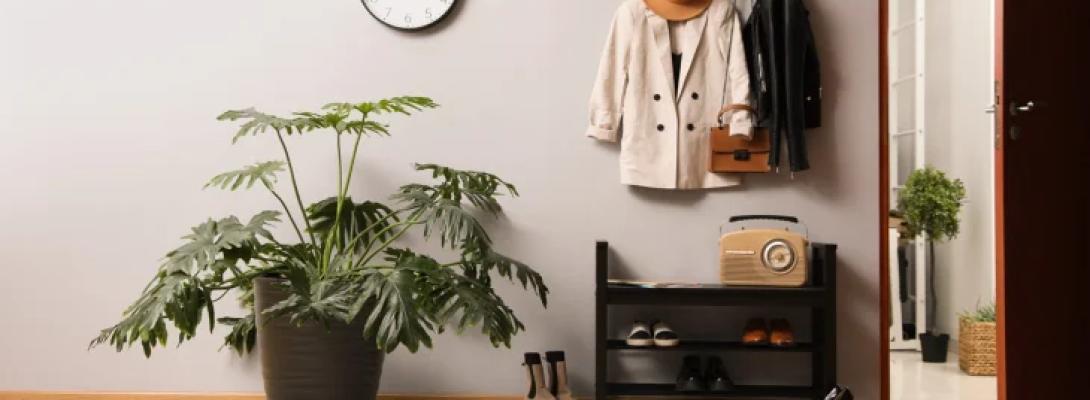 Пил у будинку більше не проблема: практичні поради, які допоможуть підтримувати порядок