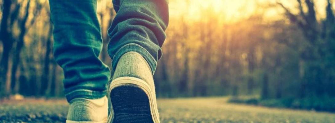 Чи потрібні справді 10 тисяч кроків щодня: що кажуть останні наукові дослідження