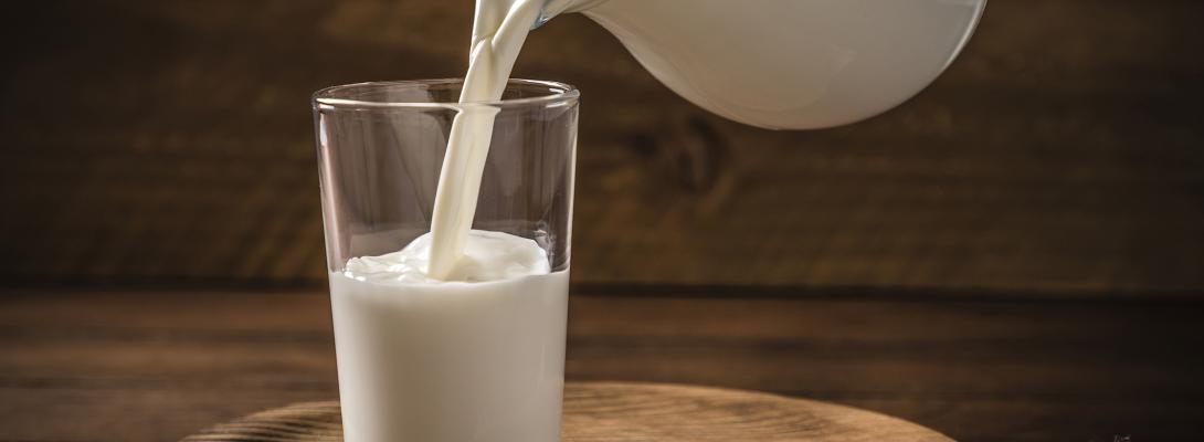Молоко корисне не всім: які наслідки можуть бути і як обрати безпечні альтернативи