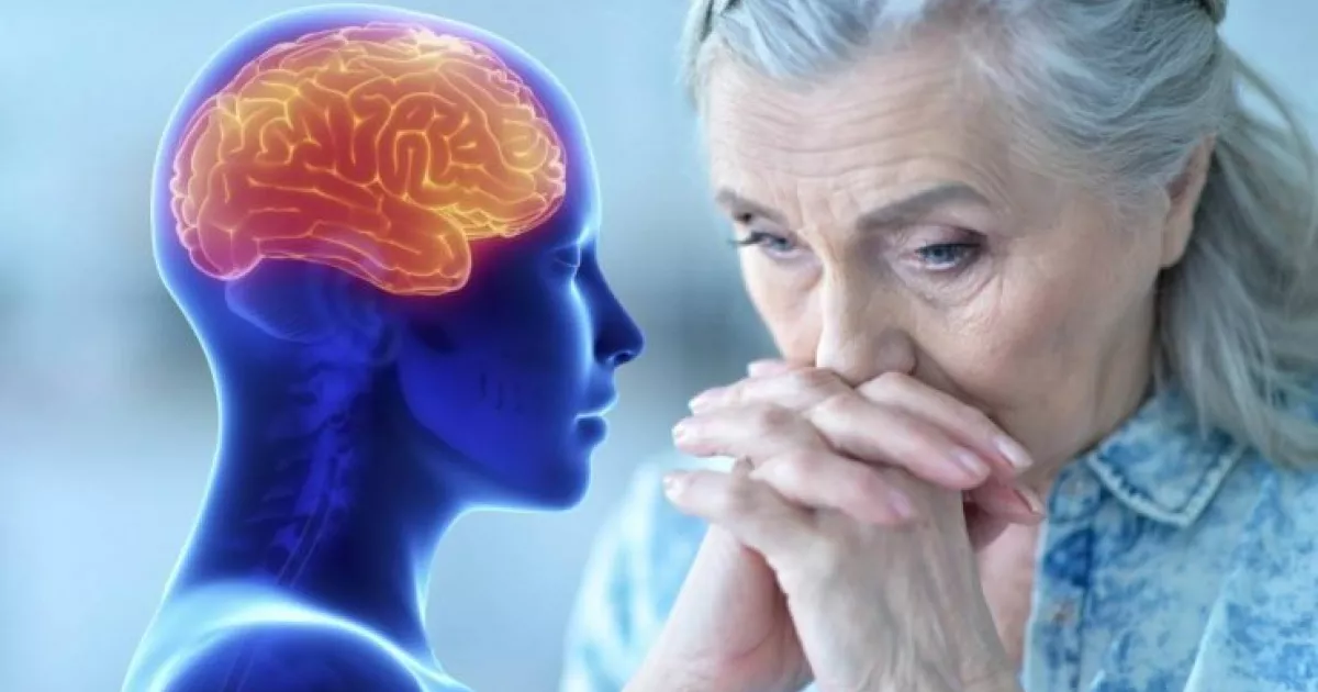 Вчені розкрили секрет: яка дієта здатна уповільнити старіння мозку та покращити пам’ять