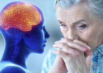Вчені розкрили секрет: яка дієта здатна уповільнити старіння мозку та покращити пам’ять