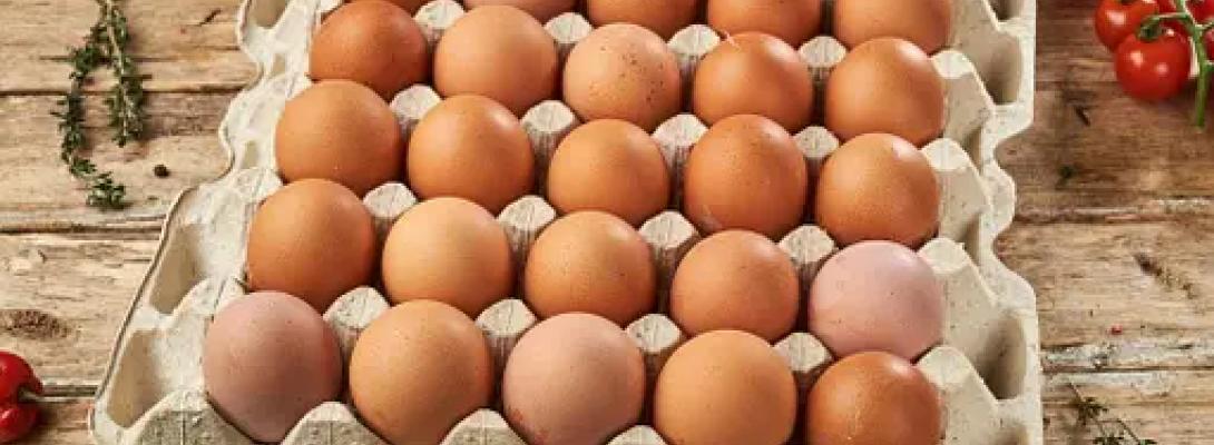 Все, що треба знати про яйця: скільки їх можна споживати без шкоди для здоров’я