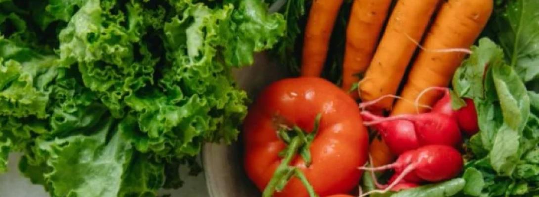 Продукти, що покращують пам’ять: вчені розкрили секрети здорового харчування для мозку