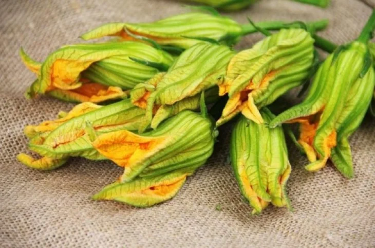 Природне очищення організму: як квіти кабачків допомагають травленню і виводять шлаки