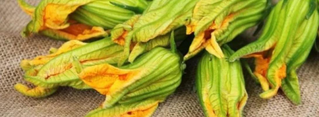 Природне очищення організму: як квіти кабачків допомагають травленню і виводять шлаки