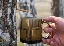 Неочікувані властивості березового соку: як він впливає на організм людини