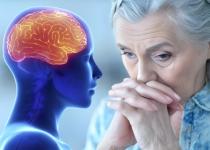 Що допомагає зберегти мозок молодим: дослідники виявили несподіваний фактор