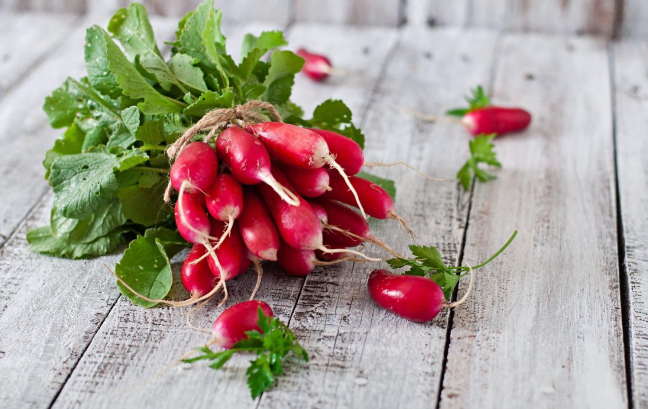 Експерт розповів, що буде з цінами на редиску вже найближчим часом: прогноз