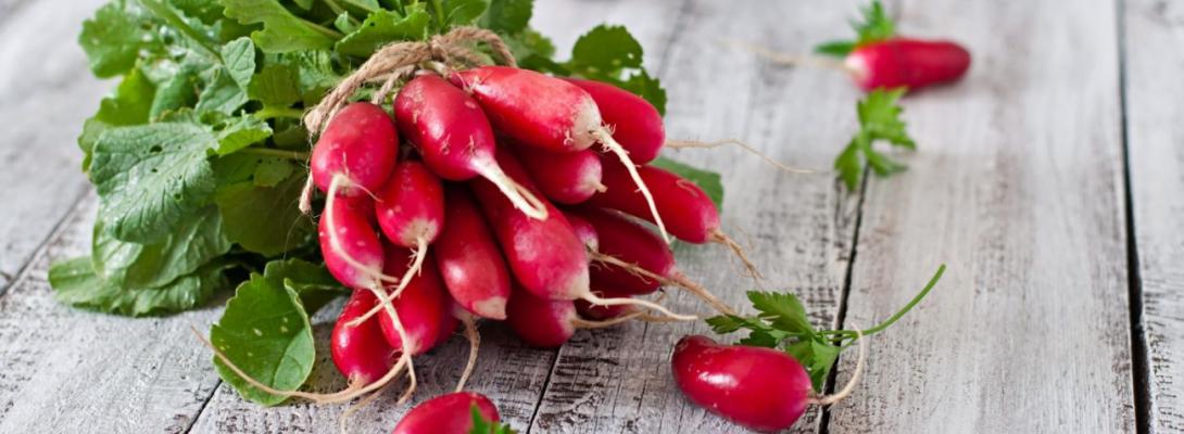 Експерт розповів, що буде з цінами на редиску вже найближчим часом: прогноз