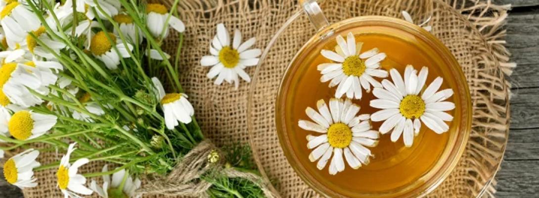 Одна чашка ввечері і міцний сон гарантовано: напій, що допомагає позбутися безсоння