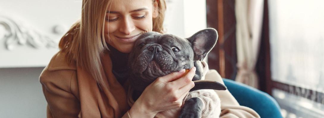 В Україні створили ШІ-сервіс для пошуку тварин: як працює PetRadar і кому він корисний