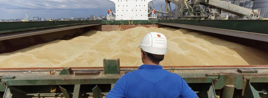 Україна просить Ізраїль про правову допомогу щодо судна із краденим зерном, - джерела