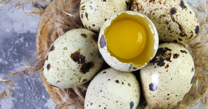 Перепелині яйця: користь для здоров’я, поживна цінність і ключові відмінності від курячих