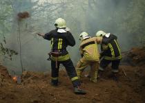 Вогонь в лісі не вщухає: на Закарпатті залучили нові сили, прокуратура відкрила справу